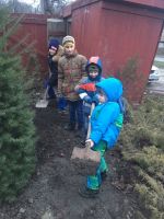 Древонасаждение