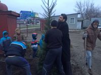 Древонасаждение