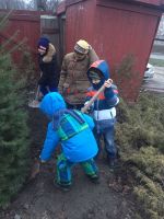 Древонасаждение