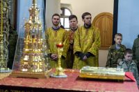 Общее говение