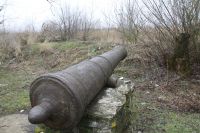 Общее говение