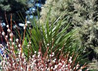 Благотворительная ярмарка