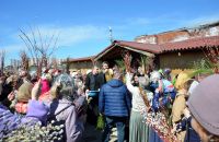 Благотворительная ярмарка