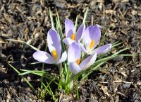 Благотворительная ярмарка