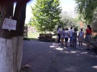 Летние площадки