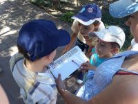 Летние площадки