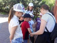 Летние площадки