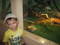 Летние площадки