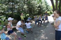 Летние площадки