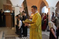 Общее говение