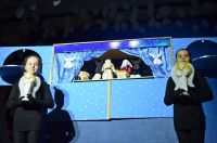 Фестиваль «Свет Рождественской звезды»