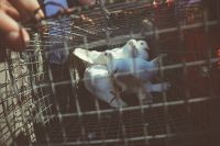 Общее говение воскресной школы