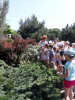 Пятый день летней площадки