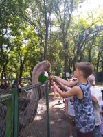 Пятый день летней площадки