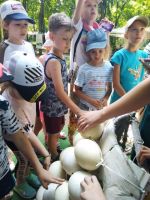 Пятый день летней площадки