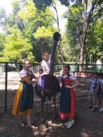 Пятый день летней площадки