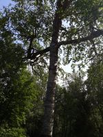 Паломническая поездка на остров Соловки