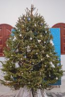 Праздник Рождества Христова в воскресной школе