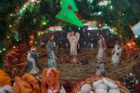 Фестиваль «Свет Рождественской звезды»