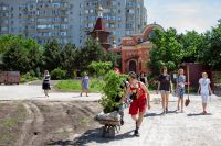 Посадка деревьев выпускниками школы