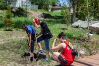 Посадка деревьев выпускниками школы