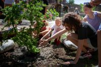 Посадка деревьев выпускниками школы
