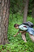 Паломническая поездка в Архыз