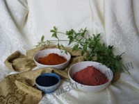 У нас в гостях - Марионилла Саламатова