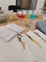 Поездка в мастерскую древнерусского шитья