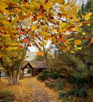 Храм Иоанна Воина